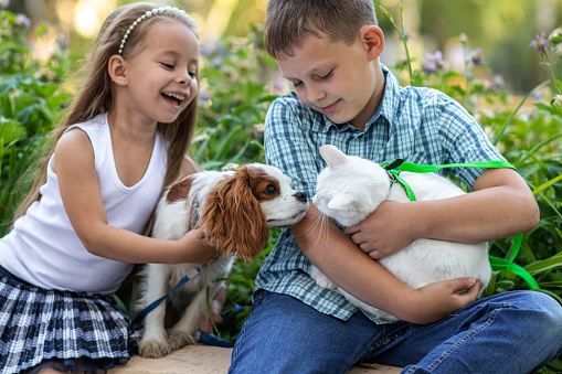 girl and boy playing with their beloved dog and cat outdoors