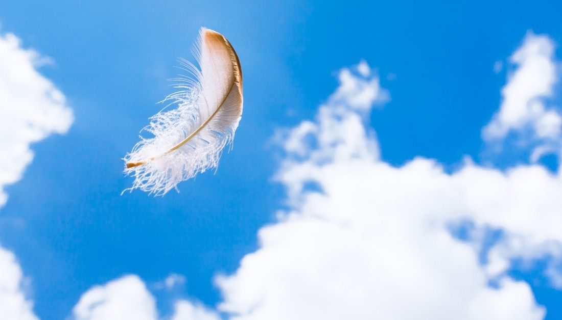 feather in the sky
