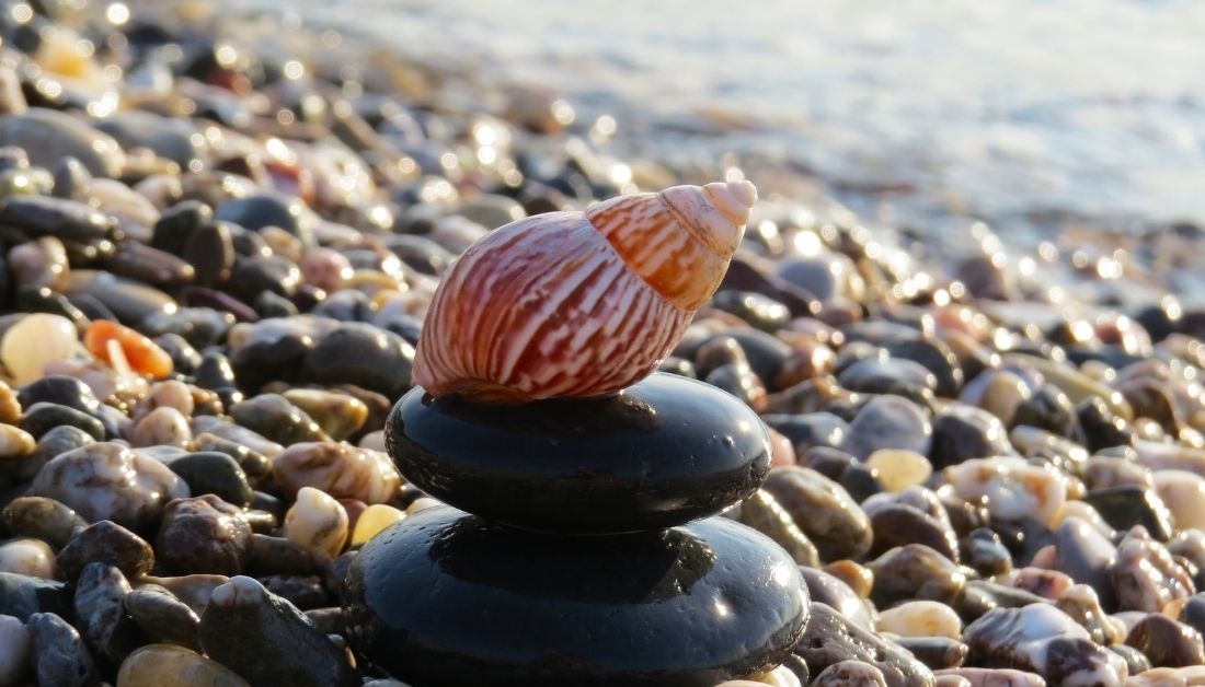 zen stones seashell