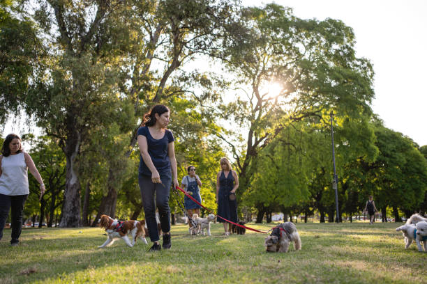 mid adult latin women enjoying fresh air at a public park with their dogs