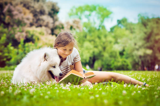 little girl with her samoyed dog outdoors